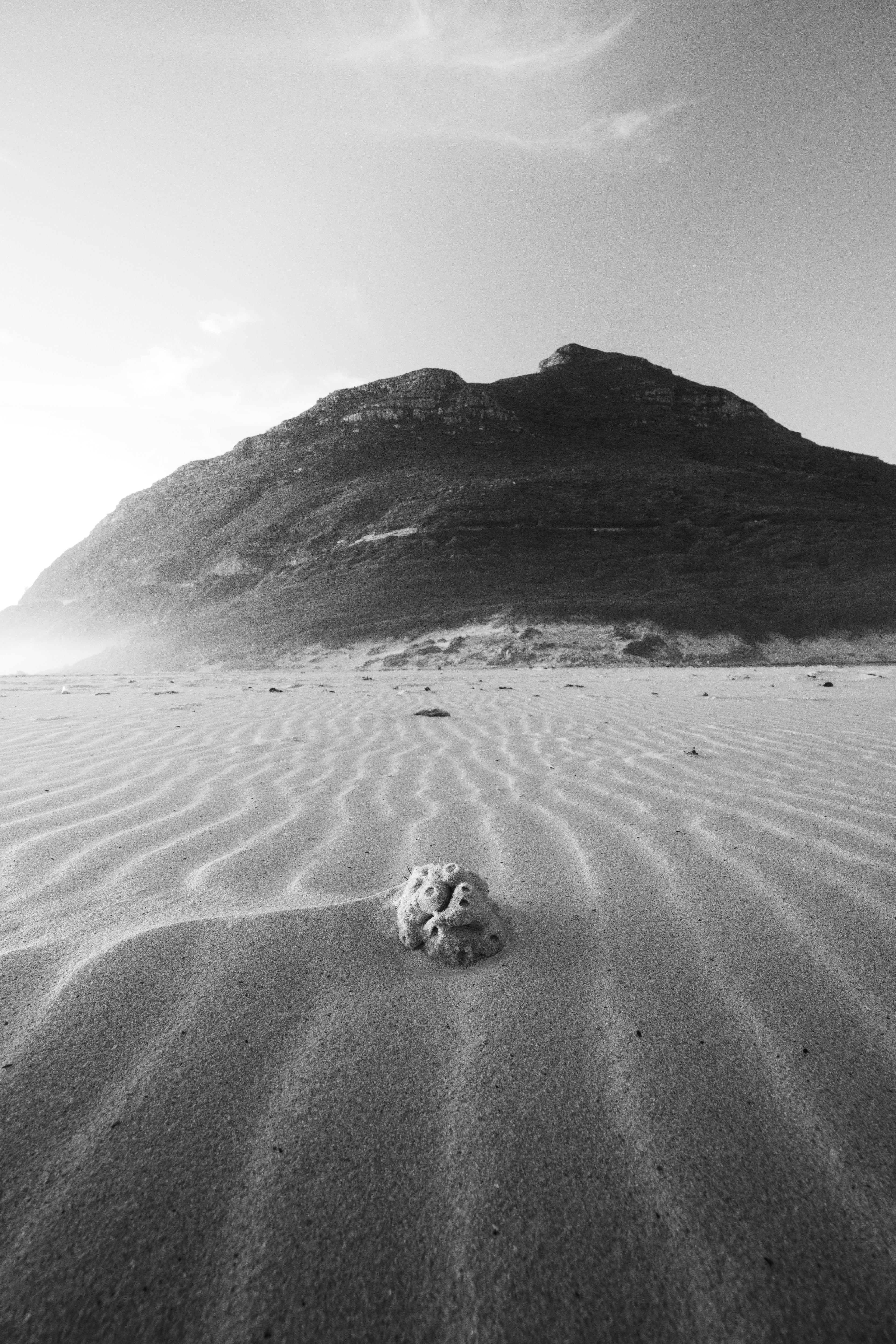 Coral & Chapmans Peak